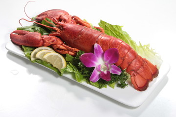 lobster cuisine