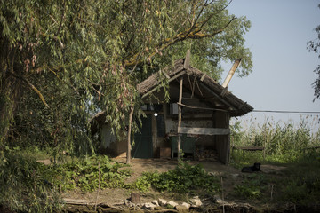 Old wooden house on a channel in Danube Delta, Romania, in a sunny summer day
