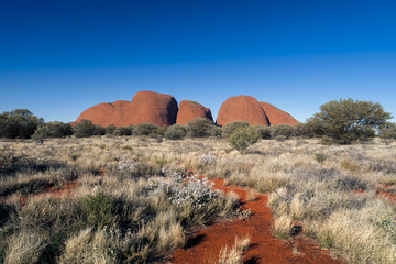 Australia Landscape : Red rock of Alice Sping under clear blue sky