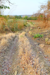 Country road in Thailand.
