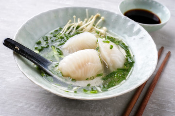 Traditional Japanese Gyoza Soup as close-up in a bowl