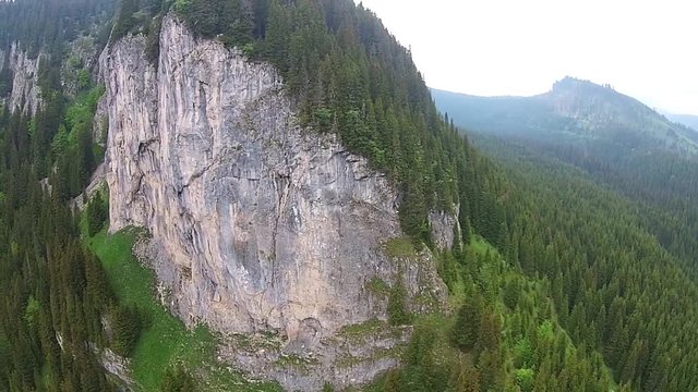 Spectacular rock limestone wall covered with fir trees , alpine landscape in Zanoaga Gorge, Bucegi Natural Park , Romania, aerial drone shot