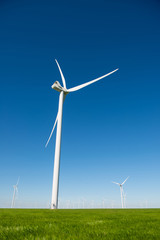 Fototapeta premium Group of windmills for electric power production in the green field of wheat