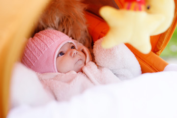 Portrait of newborn baby girl in warm winter clothes in pram.
