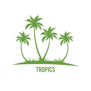 Tropical palm trees island silhouettes.