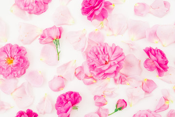 Beautiful pink rose flowers and petals on white background. Flat lay, top view. Floral pattern