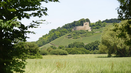 Burgruine Lichteneck