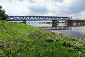 Railroad bridge over Elbe river and its typical meadows in summer time