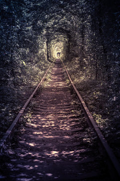 Naklejka old forest and railway tunel of love