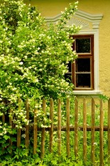 Detail of brown wooden window frame of the traditional yellow bricked house from South Bohemia (Czech Canada), Czech Republic. Wooden fence and green trees.