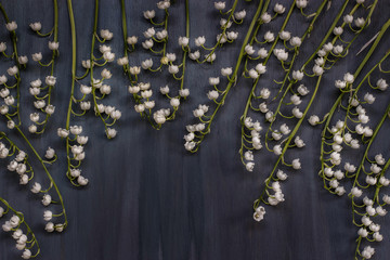 sprigs of Lily of the valley on dark blue wooden background