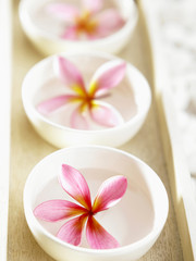 Obraz na płótnie Canvas tropical flower floating on bowls of water arranged in straight line