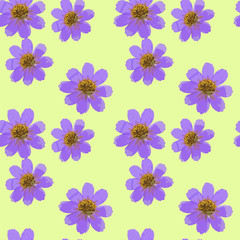 Cosmos. Seamless pattern texture of flowers. Floral background, photo collage