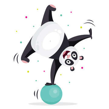 Fototapeta Cute panda in sport gymnastic position. Sportsman flat icons isolated on white background. Kids illustration