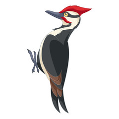 Cartoon smiling woodpecker - obrazy, fototapety, plakaty