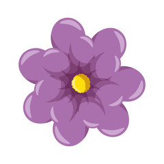Beautiful ornamental flowers icon vector illustration graphic design