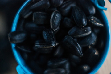 Sunflower seeds with sunflower close-up on blurred background.