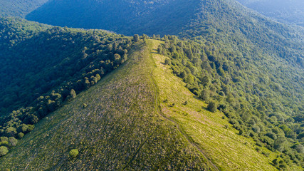 Vista aerea di un sentiero che porta sul Monte Boletto, Alpi, nei pressi del lago di Como. Como, Brunate, Lombardia, Italia
