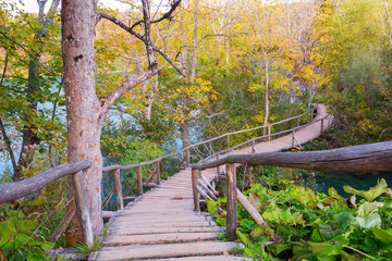 Wood path in the Plitvice lake national park