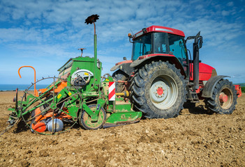 Fototapeta premium le temps des semis