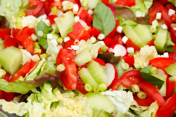 Salad with cucumber and tomatoes closeup