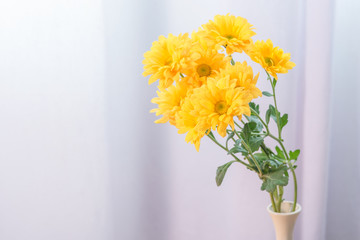 Beautiful yellow flowers in vase