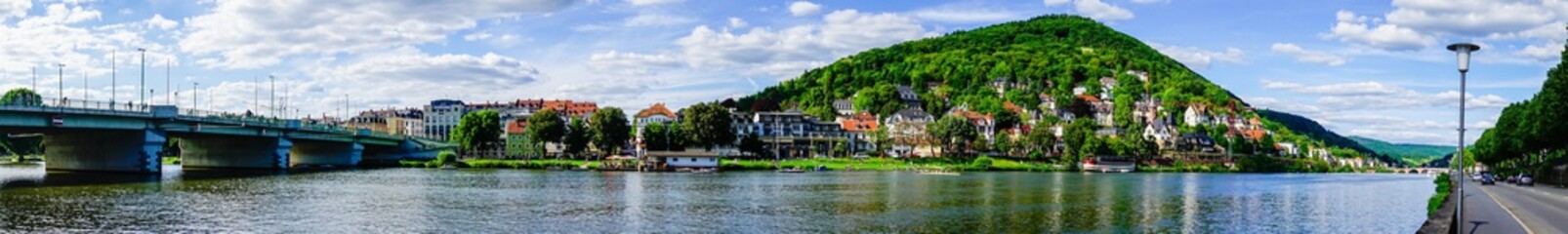 Fototapeta na wymiar Panorama Heiligenberg Heidelberg