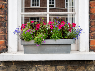 Fototapeta na wymiar English home with flowers in Greenwich Village, London