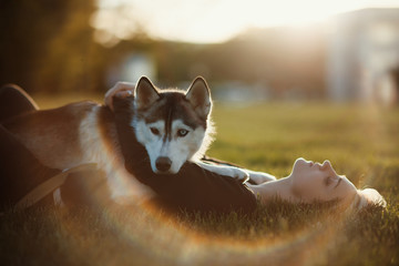 Beautiful young woman playing with funny husky dog outdoors in park at sunset  or sunrise 