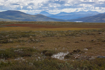 Fototapeta na wymiar Northern mountain landscape in Dovrefjell national park, Norway