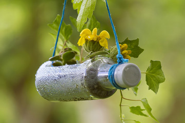 Urban gardening