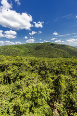 Fototapeta na wymiar hills covered with green forest 