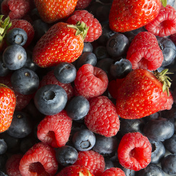 A Serving of Fresh Strawberries, Raspberries and Blueberries in Germany, Europe