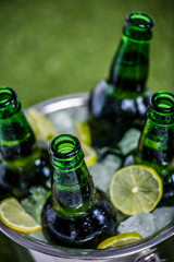 Closeup view of bucket full of ice cubes with opened beer bottles and lemon slices on green grass