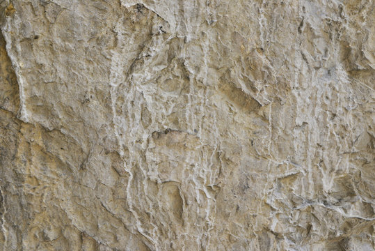 Roche blanche dentel&eacute;e