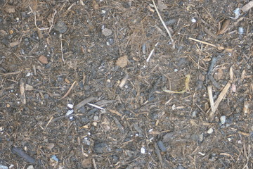 Hintergrund Pflanzerde