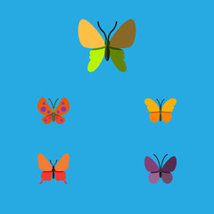 Fototapeta na wymiar Flat Icon Monarch Set Of Violet Wing, Beauty Fly, Butterfly And Other Vector Objects. Also Includes Insect, Monarch, Butterfly Elements.