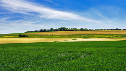 Landwirtschaft