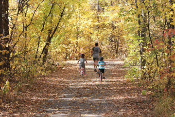 Fototapeta premium running,fall,autumn, path,biking,yellow,orange,red,brown,