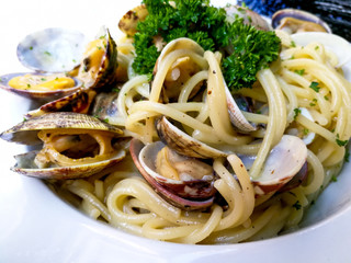 Pasta with Clam Dinner Dish on a the table