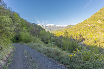 Naklejka premium Landscape between broto and torla in the Pyrenees of Huesca