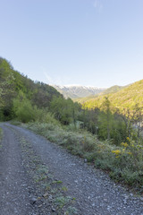 Obraz premium Landscape between broto and torla in the Pyrenees of Huesca