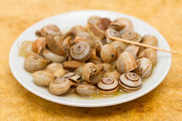 Fototapeta na wymiar snails on white plate
