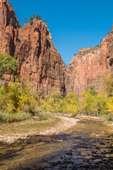 Autumn in the Zion Narrows