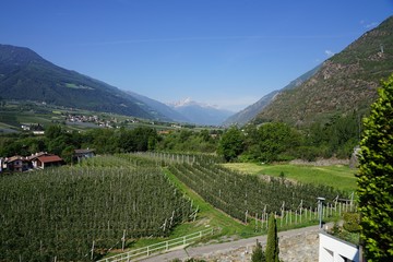 Berglandschaft in Südtirol / Naturns 