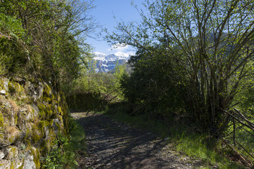 Landscape between broto and torla in the Pyrenees of Huesca