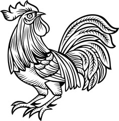 Vector illustration of rooster, black and white style
