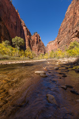 Scenic Zion Narrows in Autumn