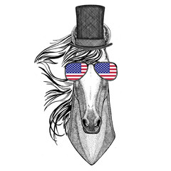 Fototapeta premium Horse, hoss, knight, steed, courser wearing cylinder top hat and glasses with usa flag United states of America flag