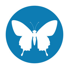 Beautiful Butterfly silhouette icon vector illustration graphic design